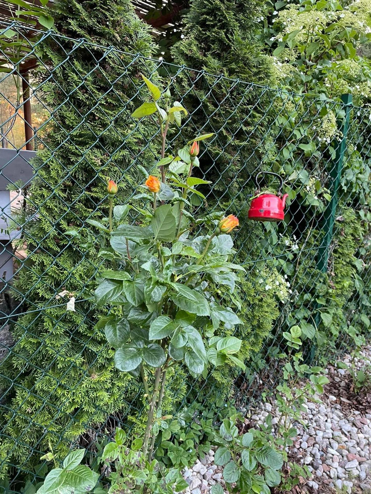 Wilkaski Zakatek Lötzen Exterior foto